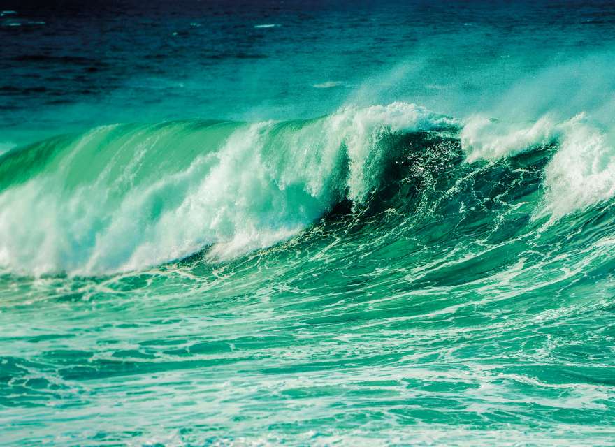 The Ordering of Moses[break]
